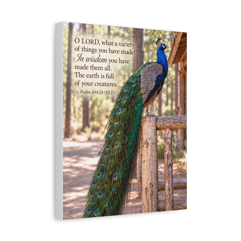 He Made Them All - Canvas