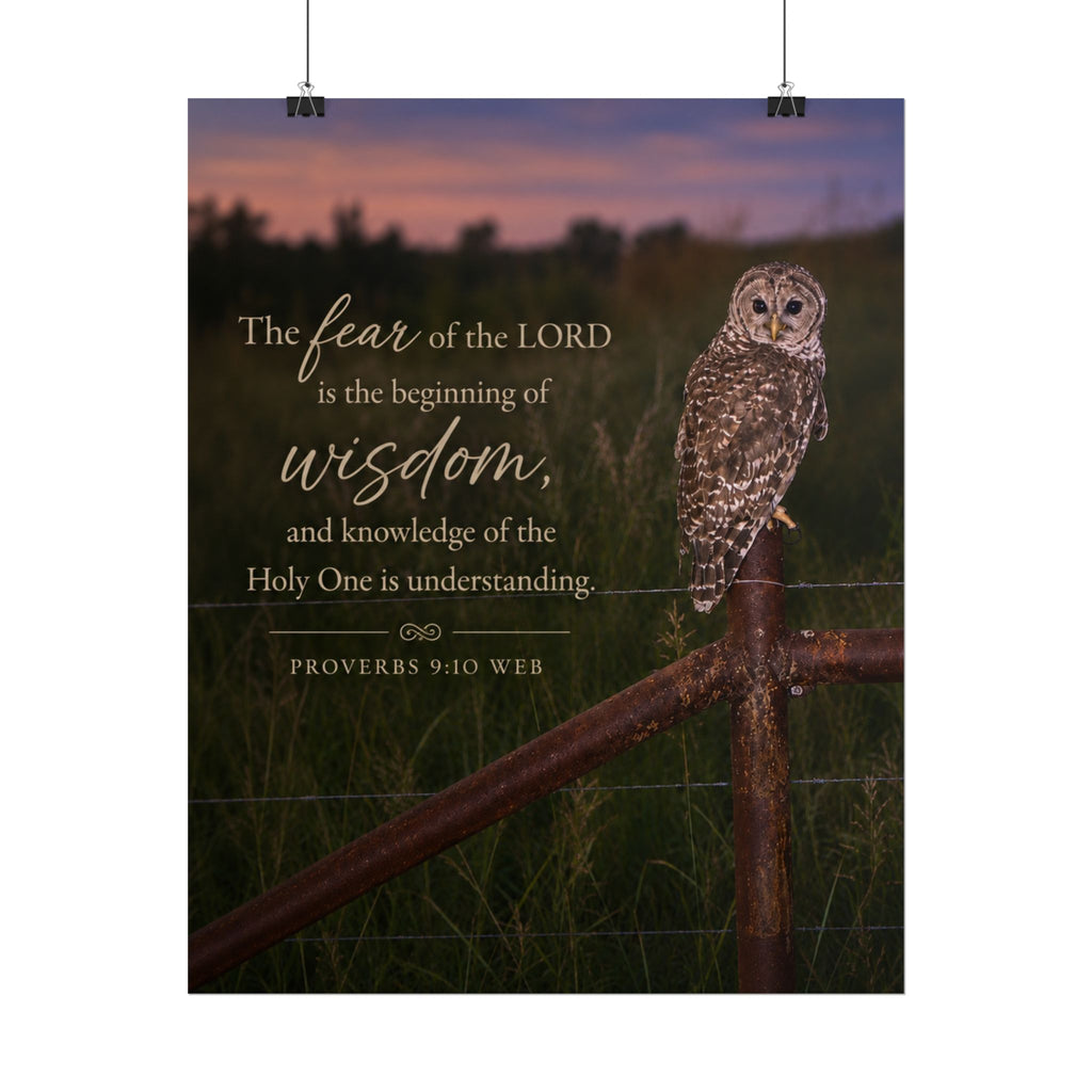 Wise Owl | Poster