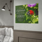 ladybug | Poster