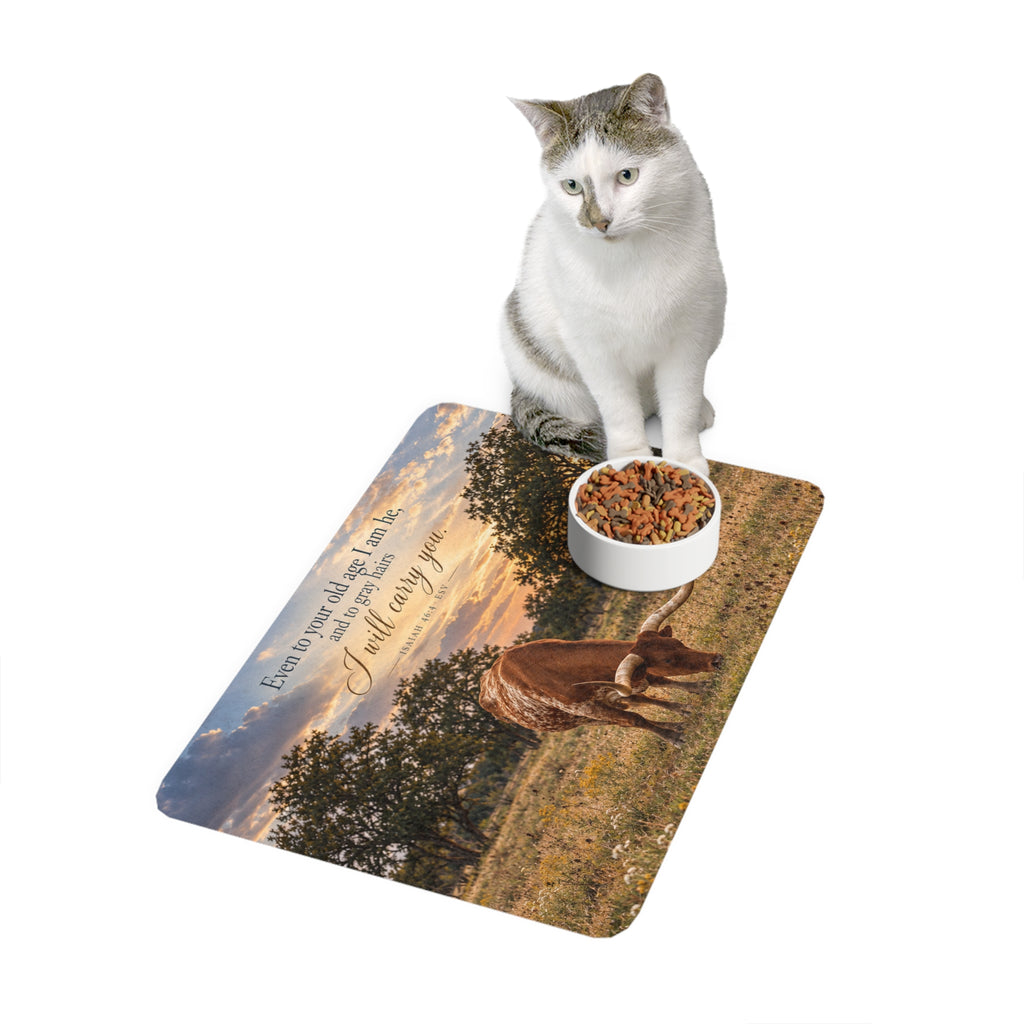 Carried - Pet Feeding Mat