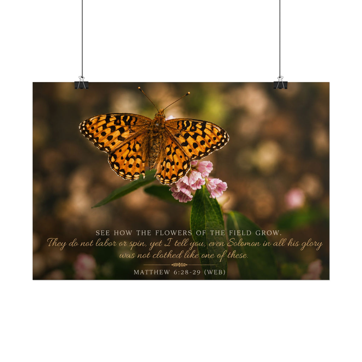Orange Butterfly | Poster