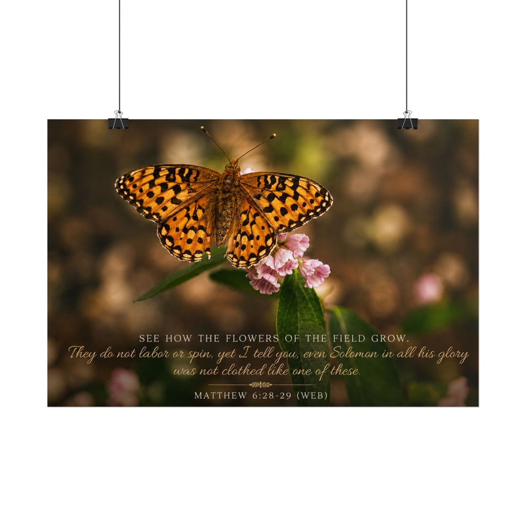 Orange Butterfly | Poster
