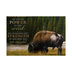 Strength Bison | Poster