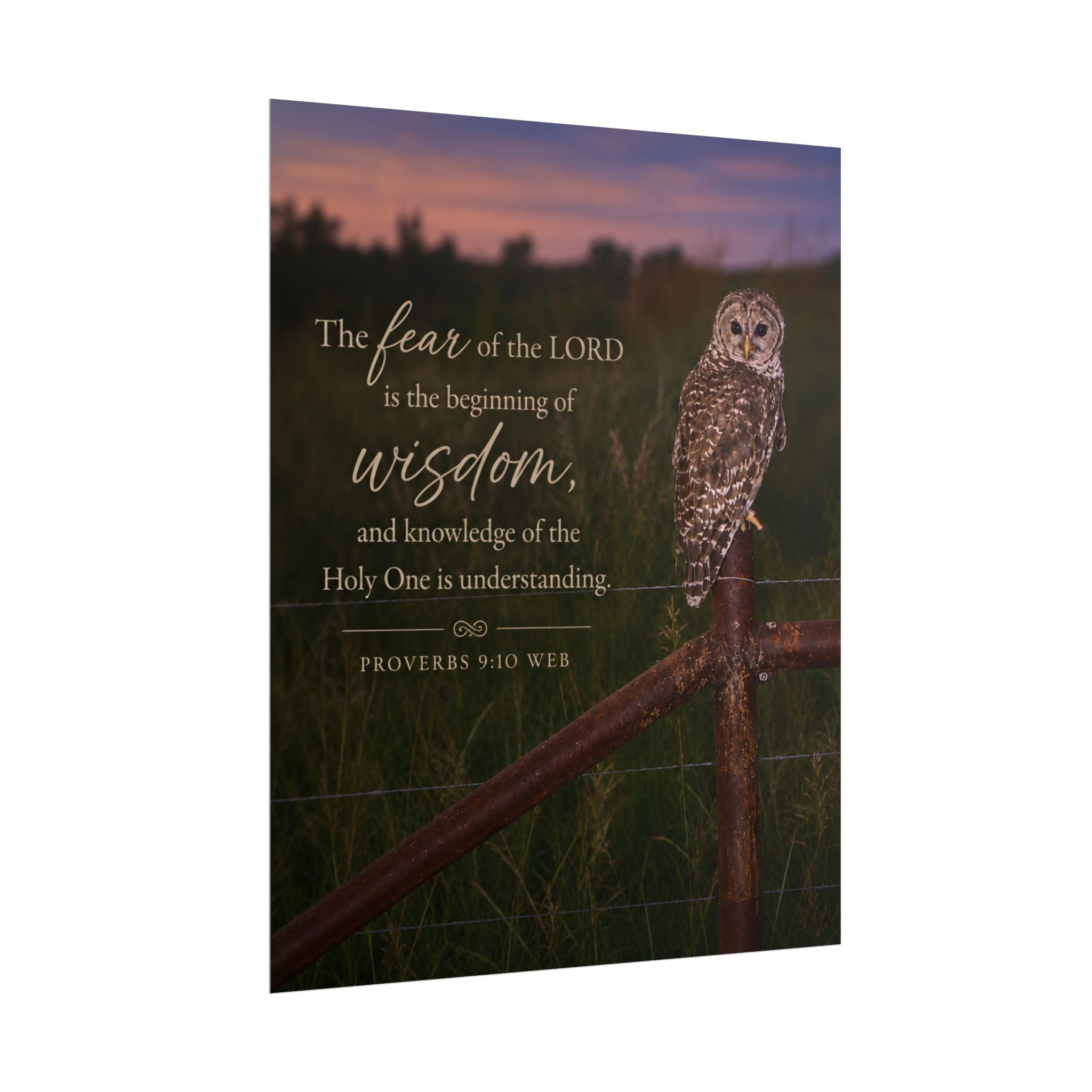 Wise Owl | Poster
