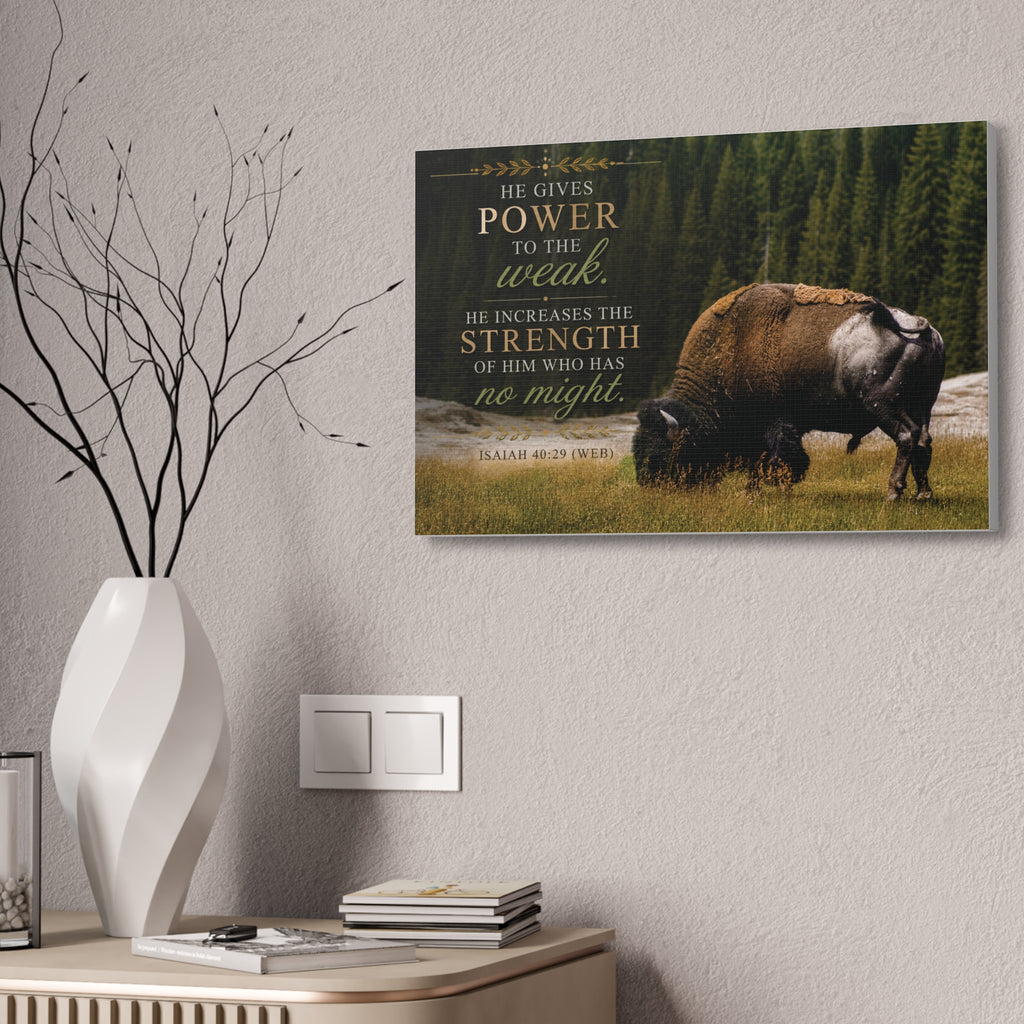 Strength Bison | Canvas