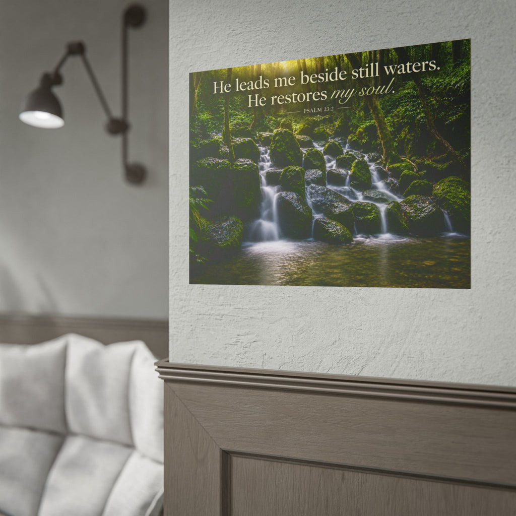 Rainforest Falls | Poster