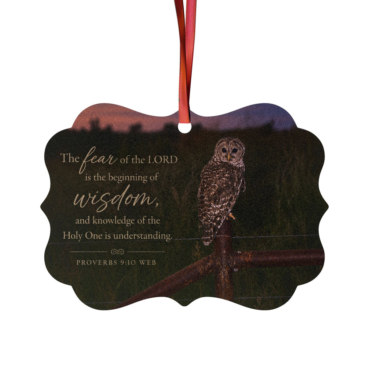 Christian Owl Wisdom Aluminum Ornament — Proverbs 9:10 Inspirational Holiday Decor