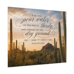 cacti | Poster