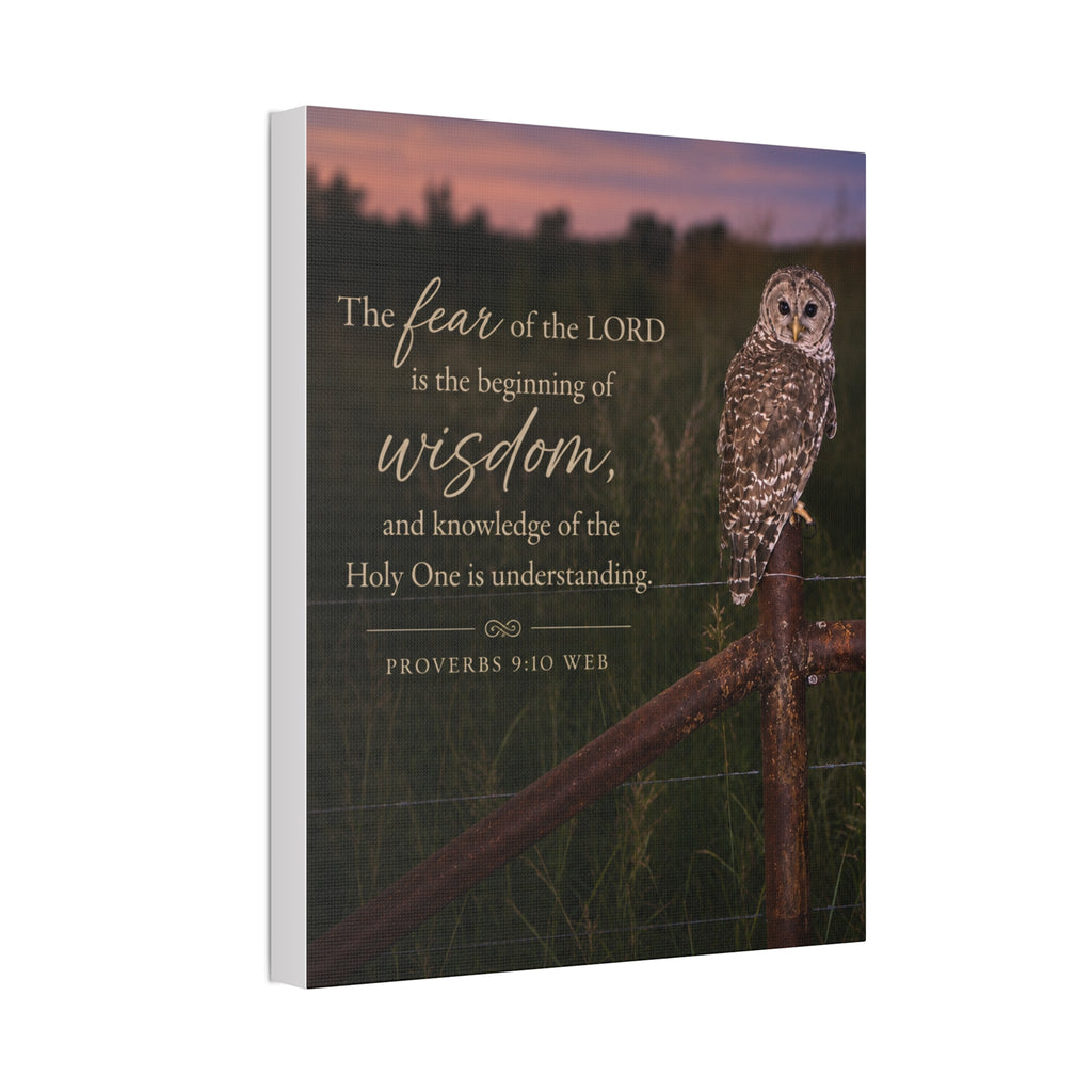 Wise Owl | Canvas