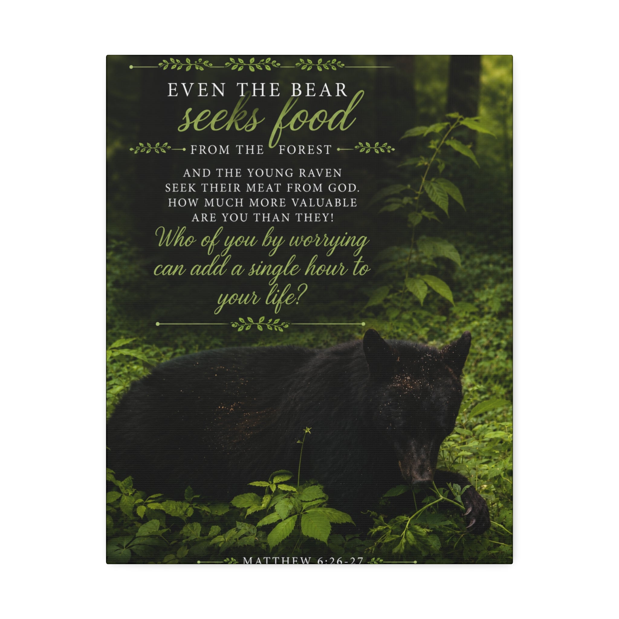 Bear | Canvas