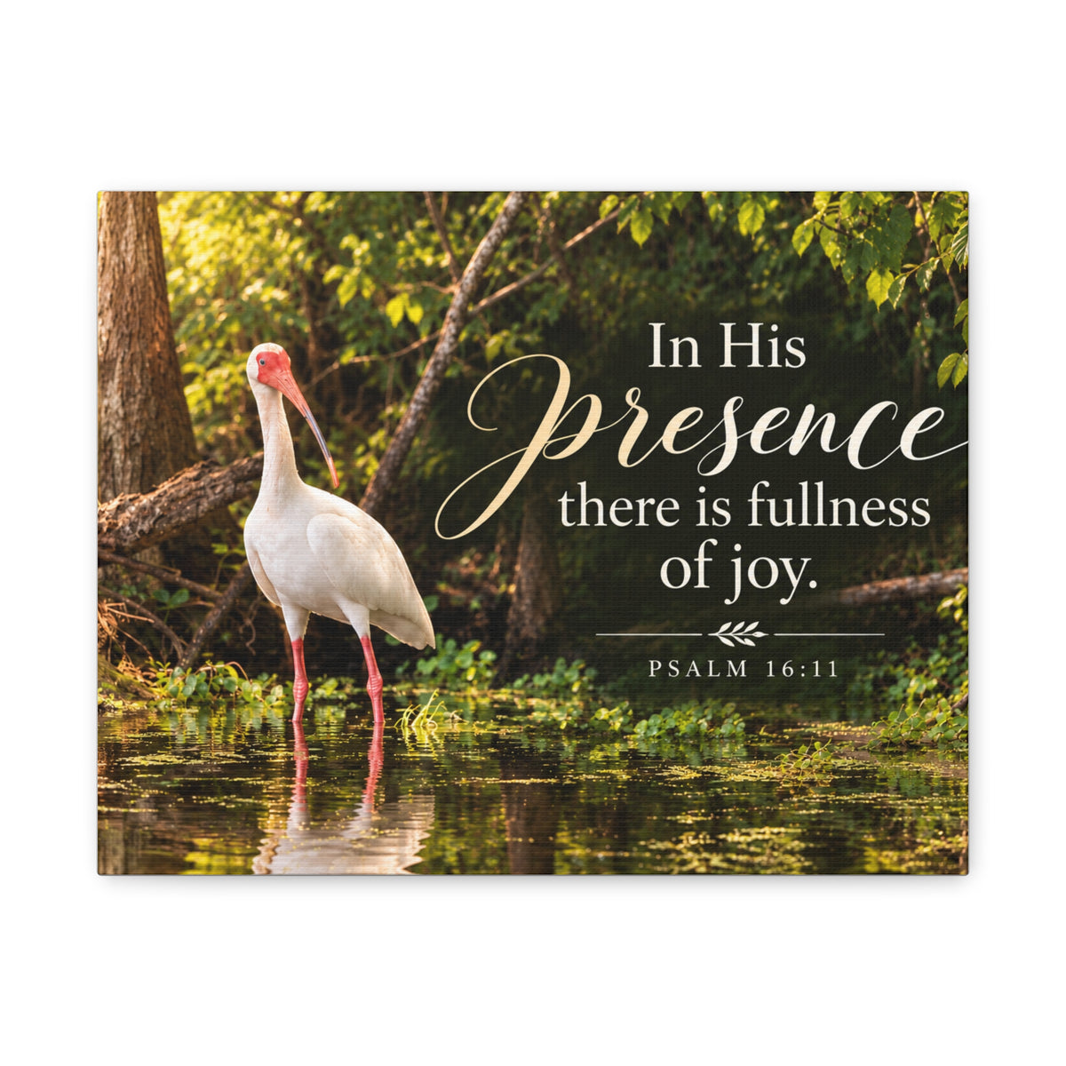 In His Presence Ibis - Canvas