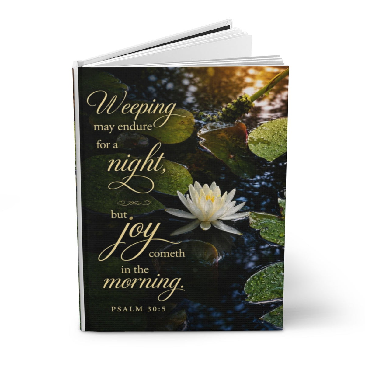 Joy in the Morning - Journal