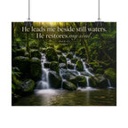 Rainforest Falls | Poster