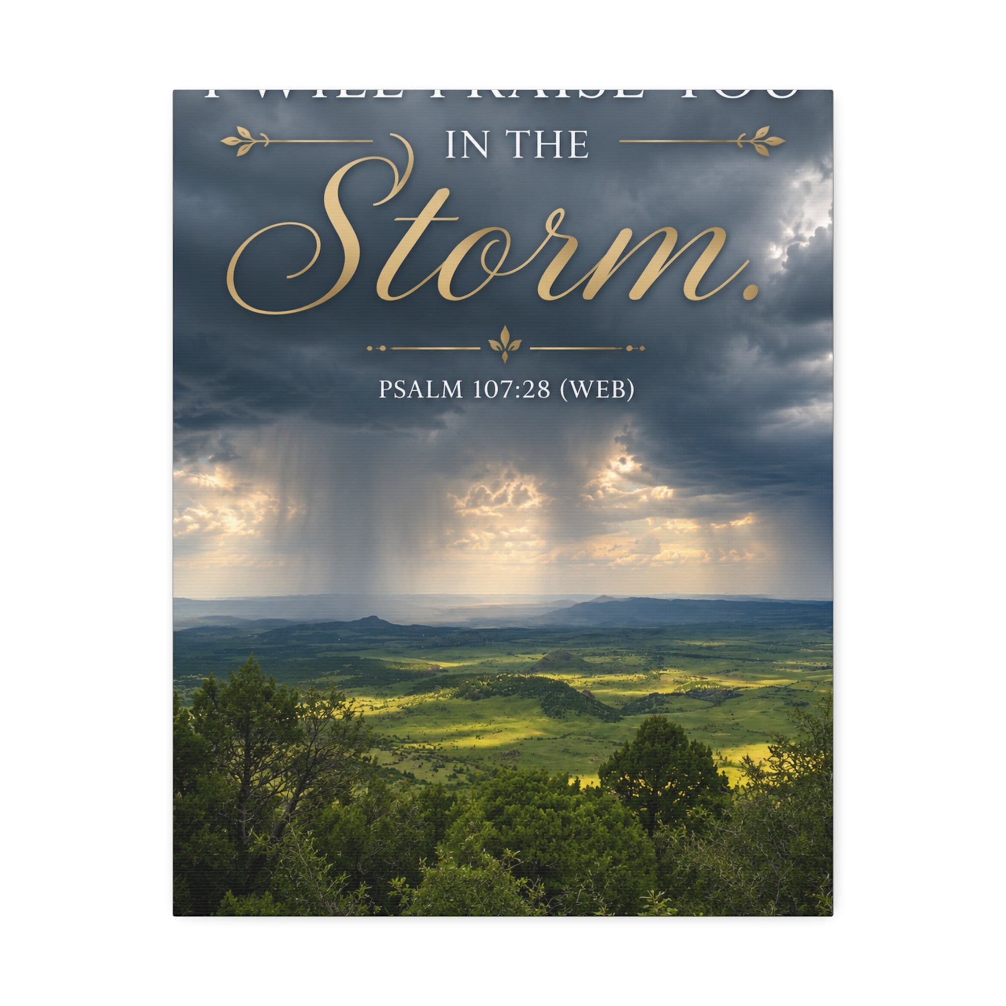 Storm | Canvas