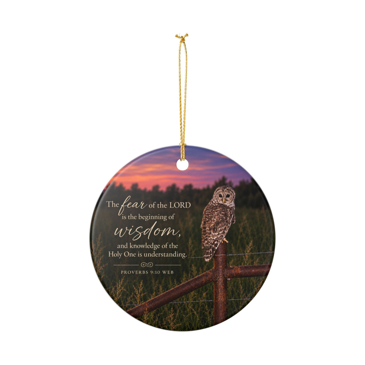 Watchful Wisdom Owl Scripture Ornament
