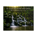 Rainforest Falls | Poster