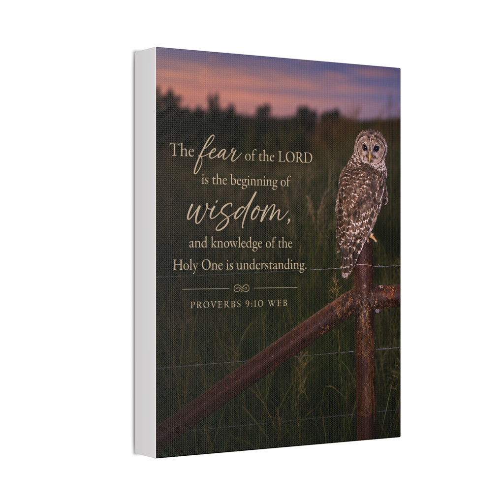 Wise Owl | Canvas