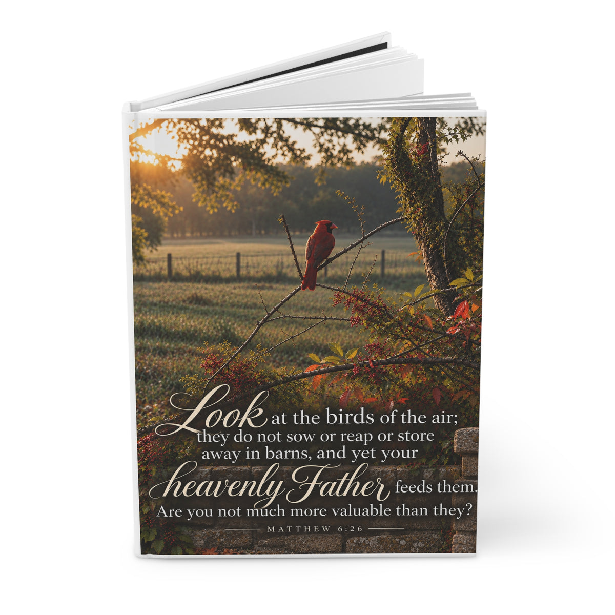 Fed by the Father Cardinal - Journal