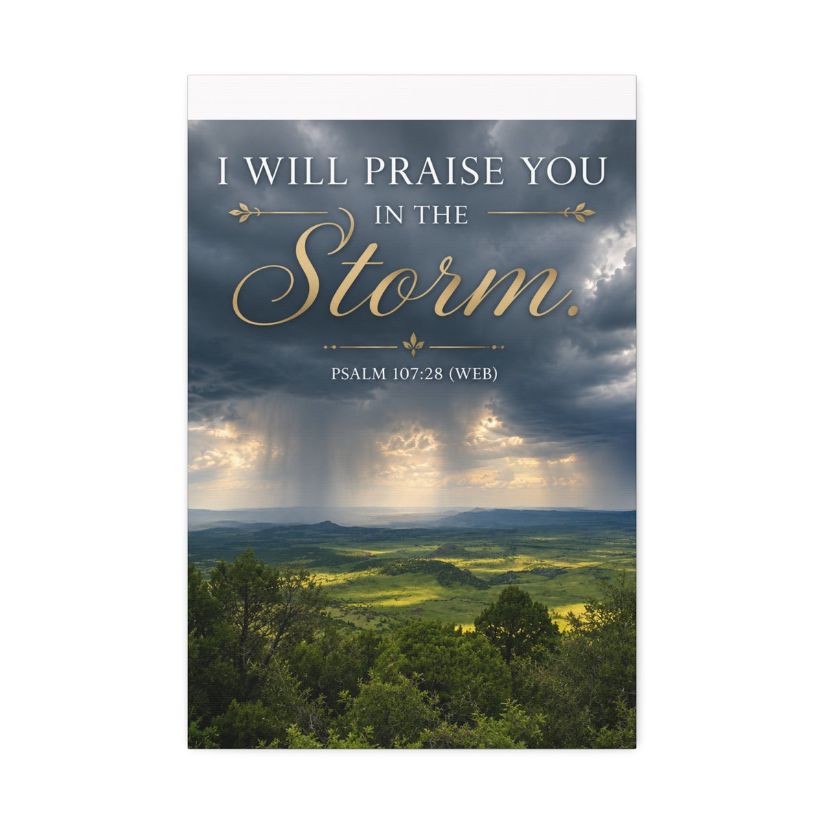 Praise in the Storm | Canvas