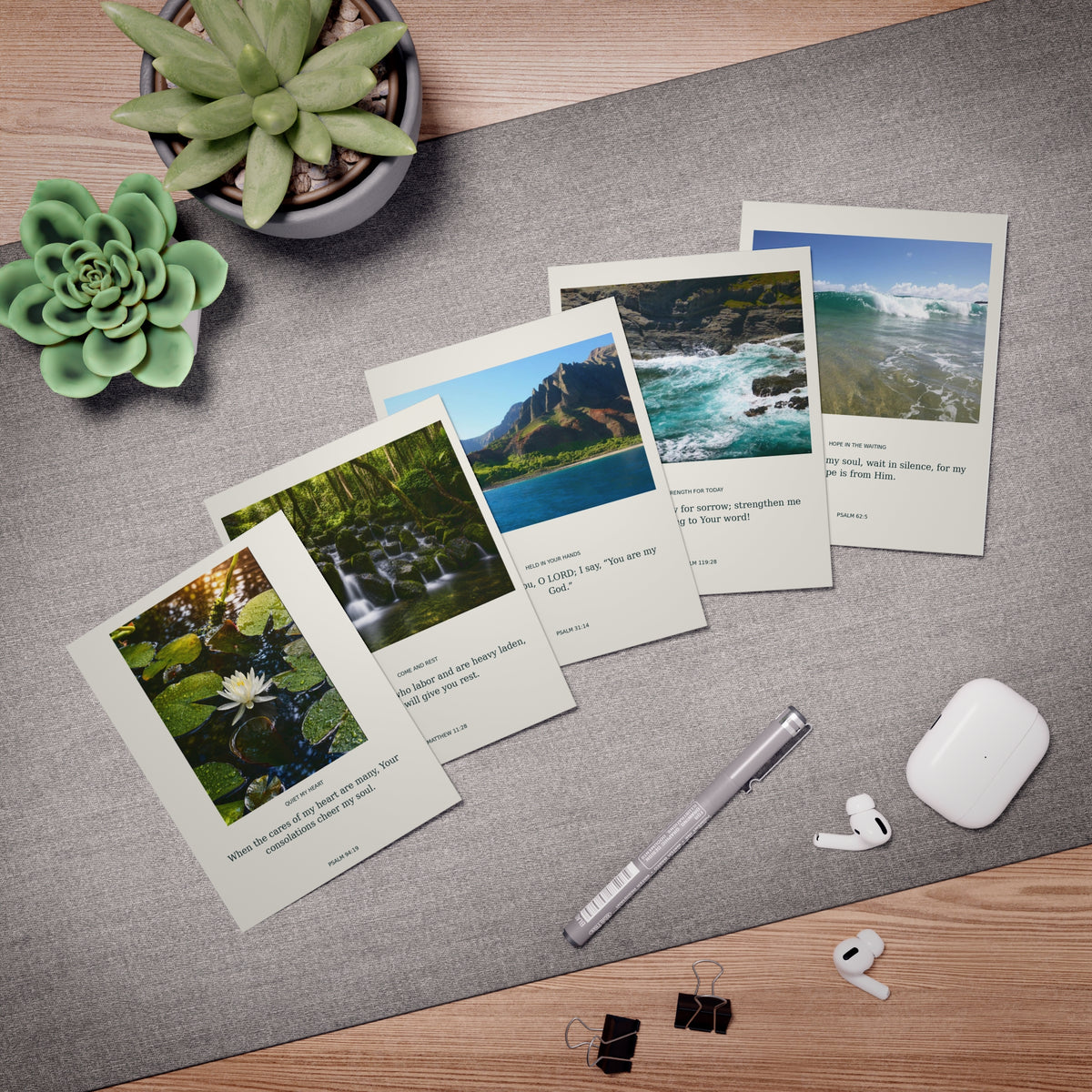 Multi-Design Greeting Cards (5-Pack)