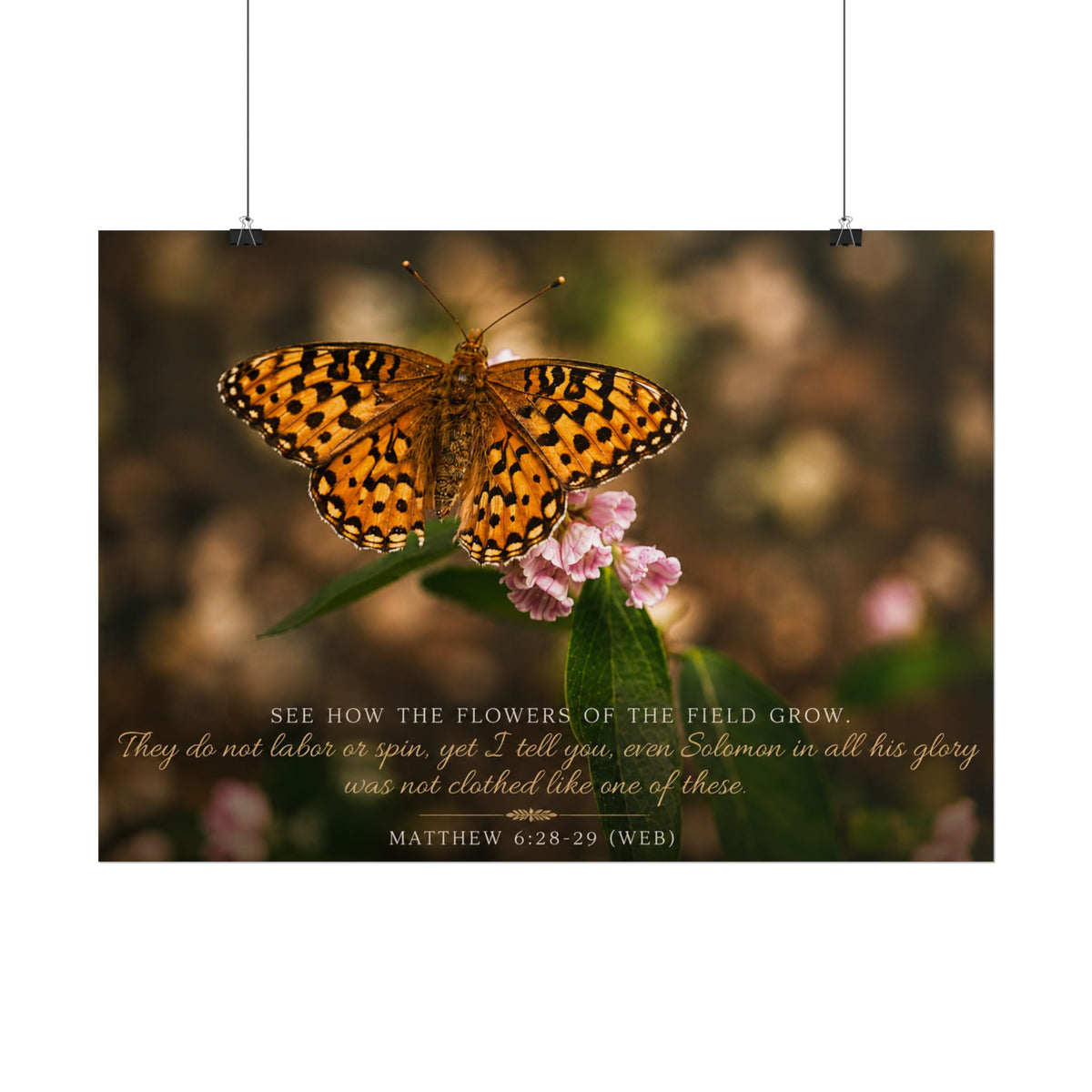 Consider the Flowers - Poster
