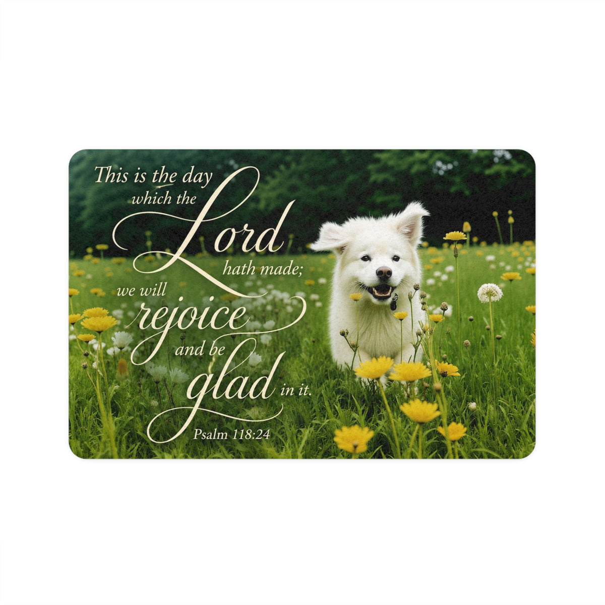 Rejoice! - Pet Feeding Mat
