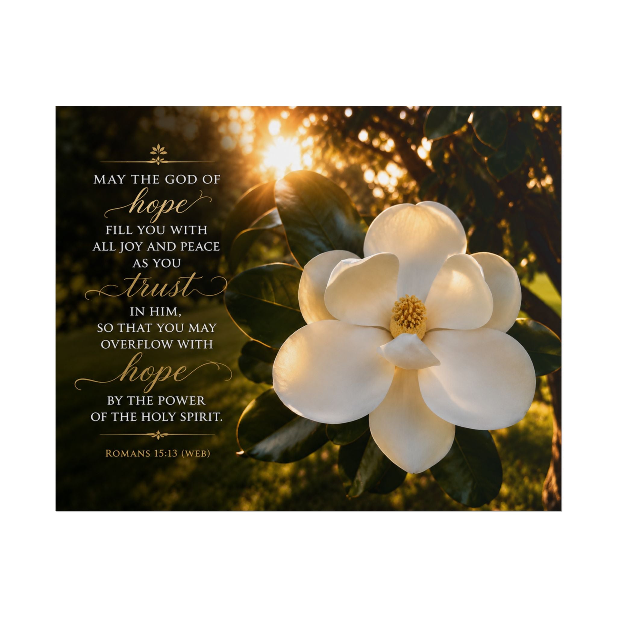 magnolia | Poster