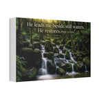 Rainforest Falls | Canvas