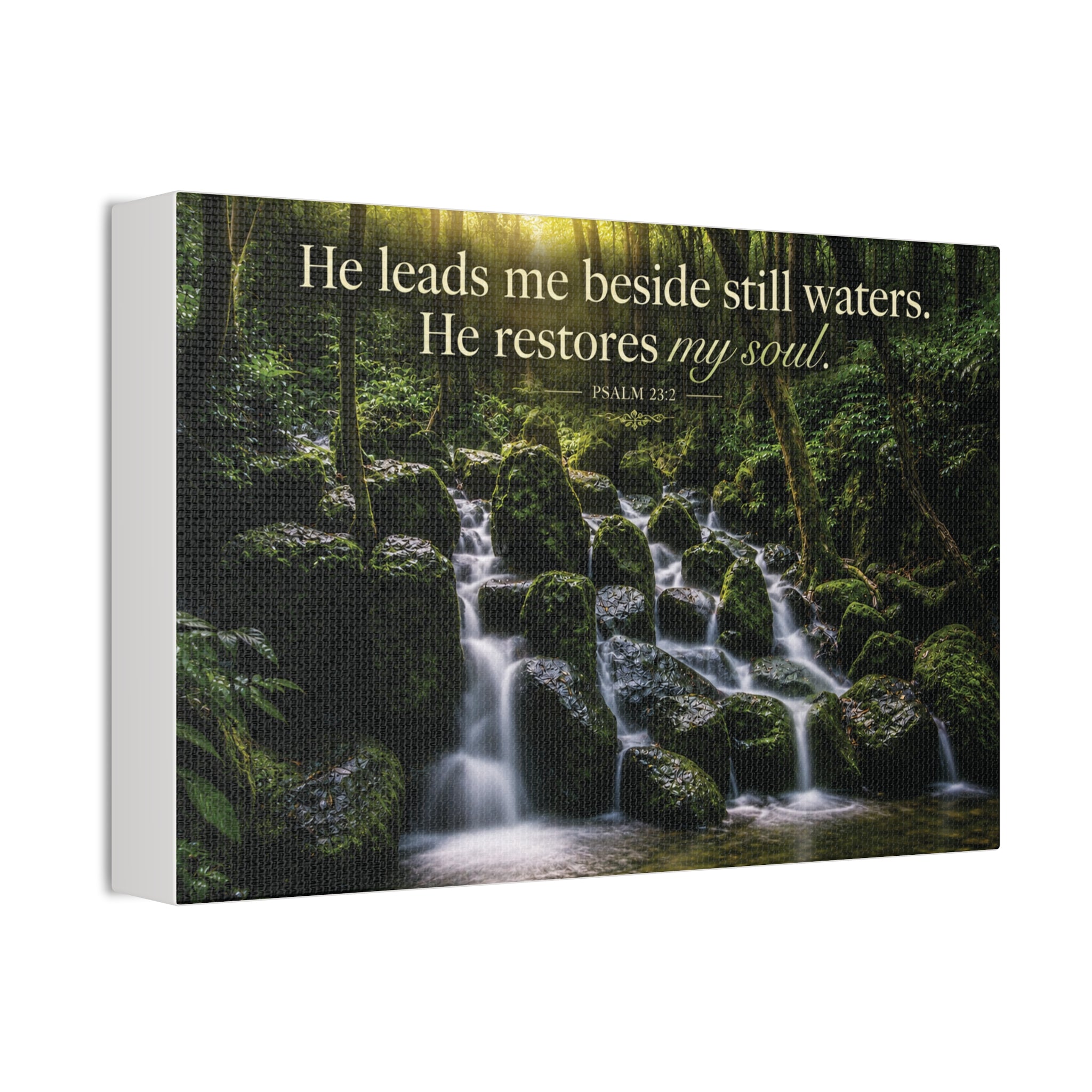 Rainforest Falls | Canvas