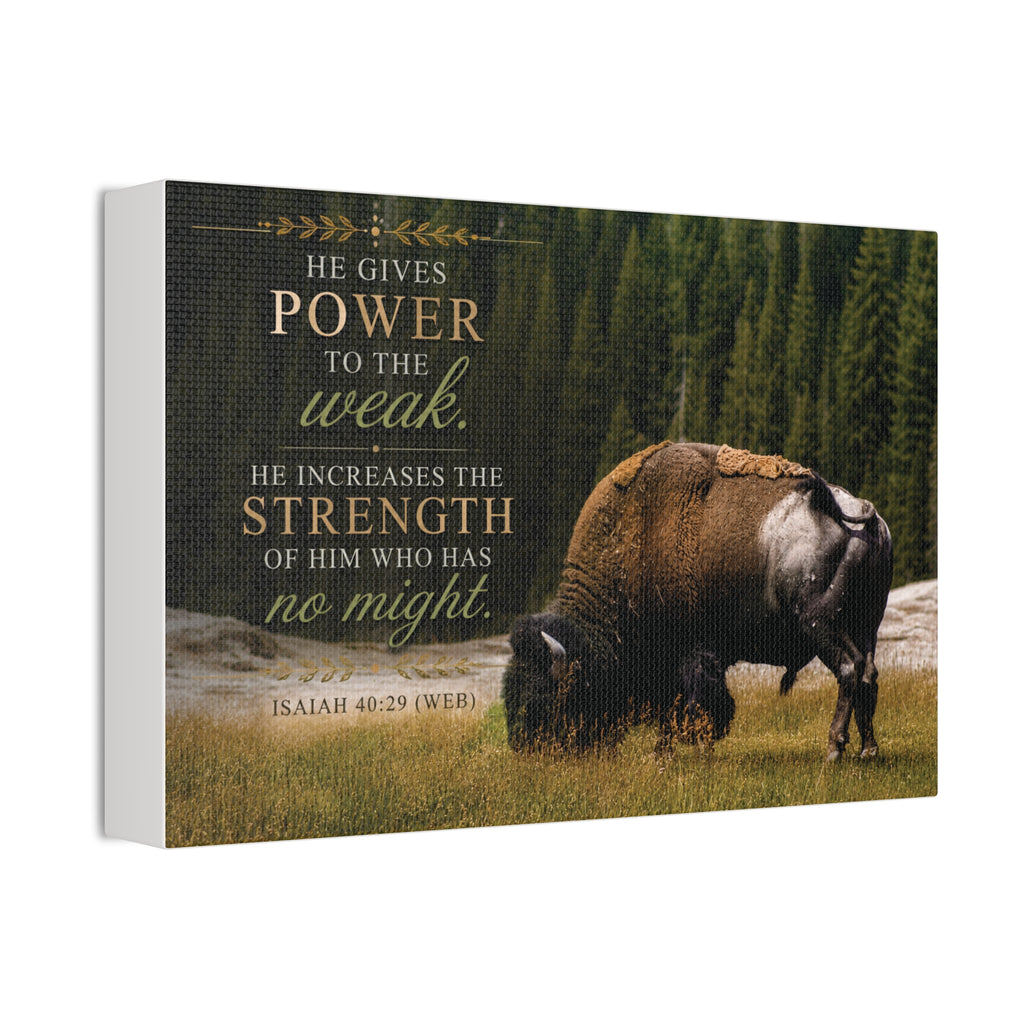 Strength Bison | Canvas