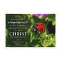 Ladybug | Canvas