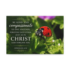 Ladybug | Canvas