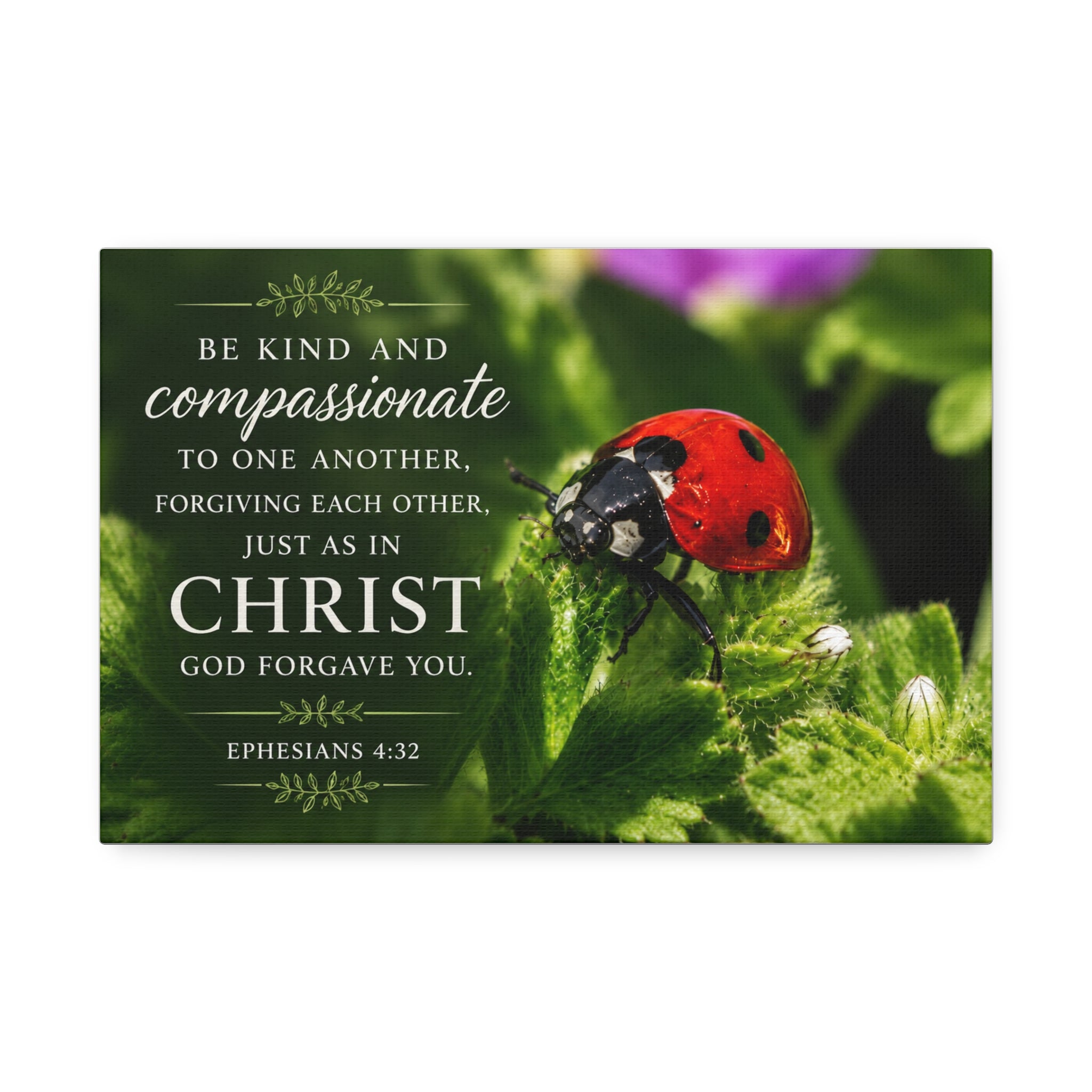 Ladybug | Canvas