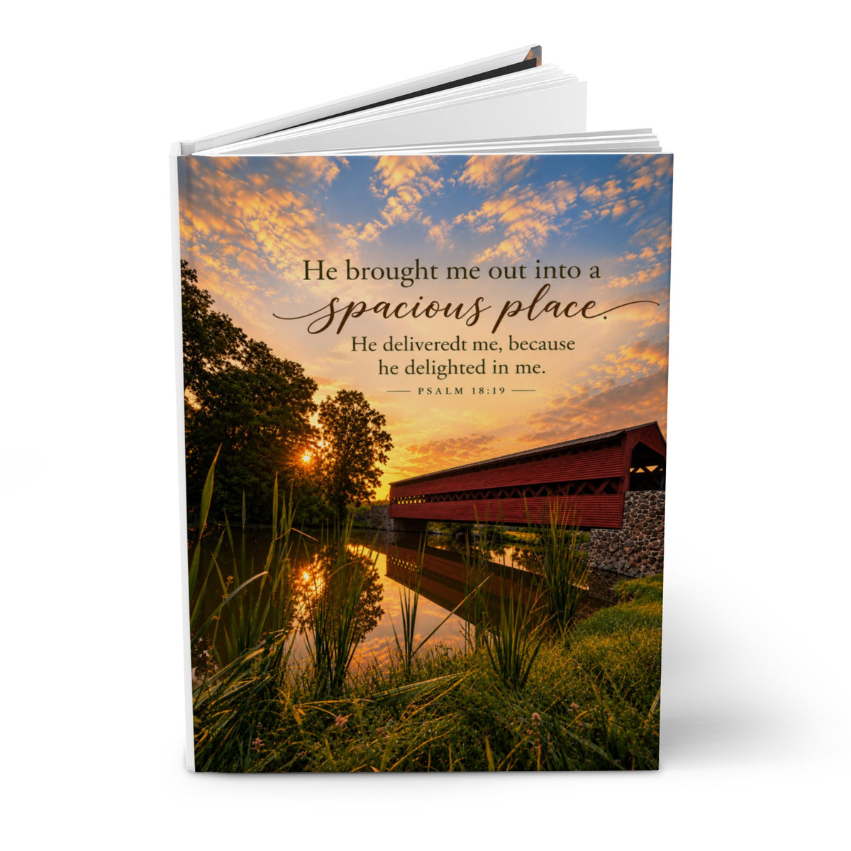 Into a Spacious Place - Journal