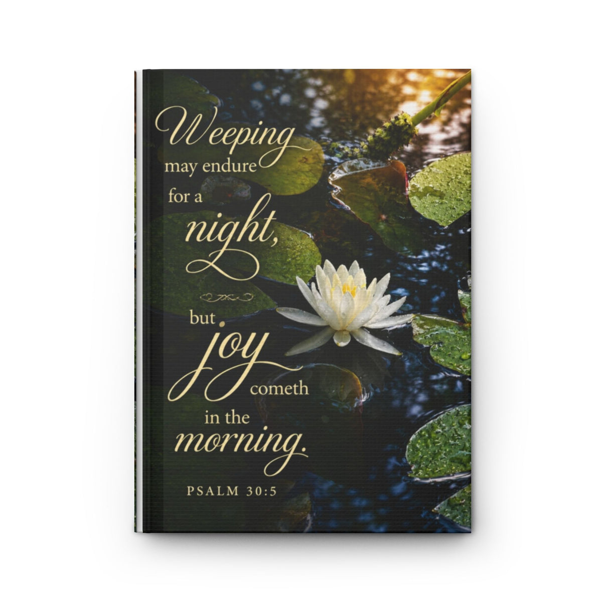 Joy in the Morning - Journal