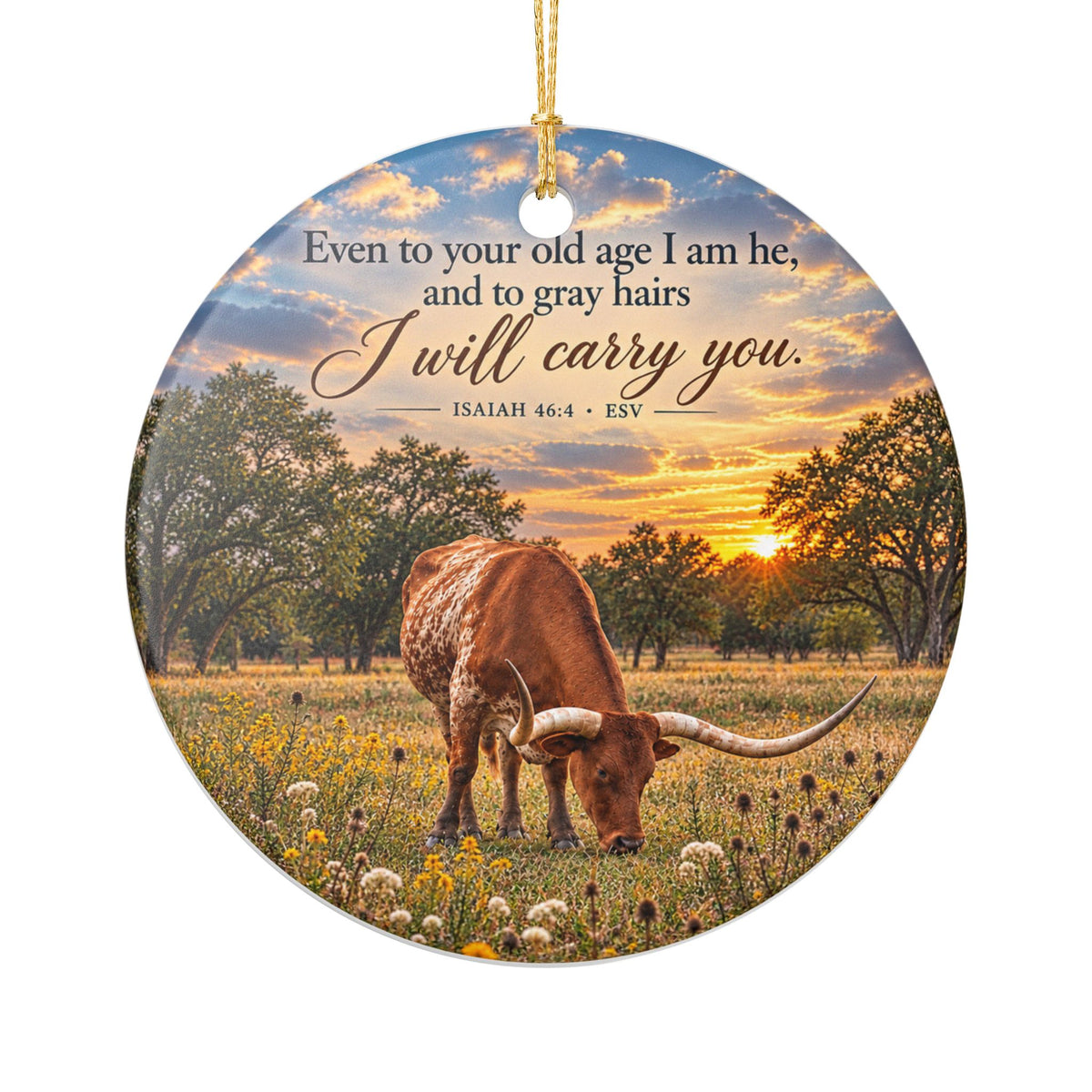 Carried - Ornament