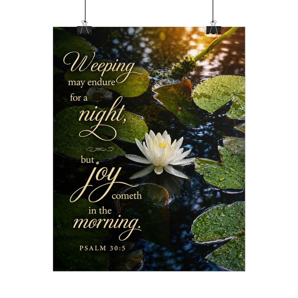 Joy in the Morning - Poster