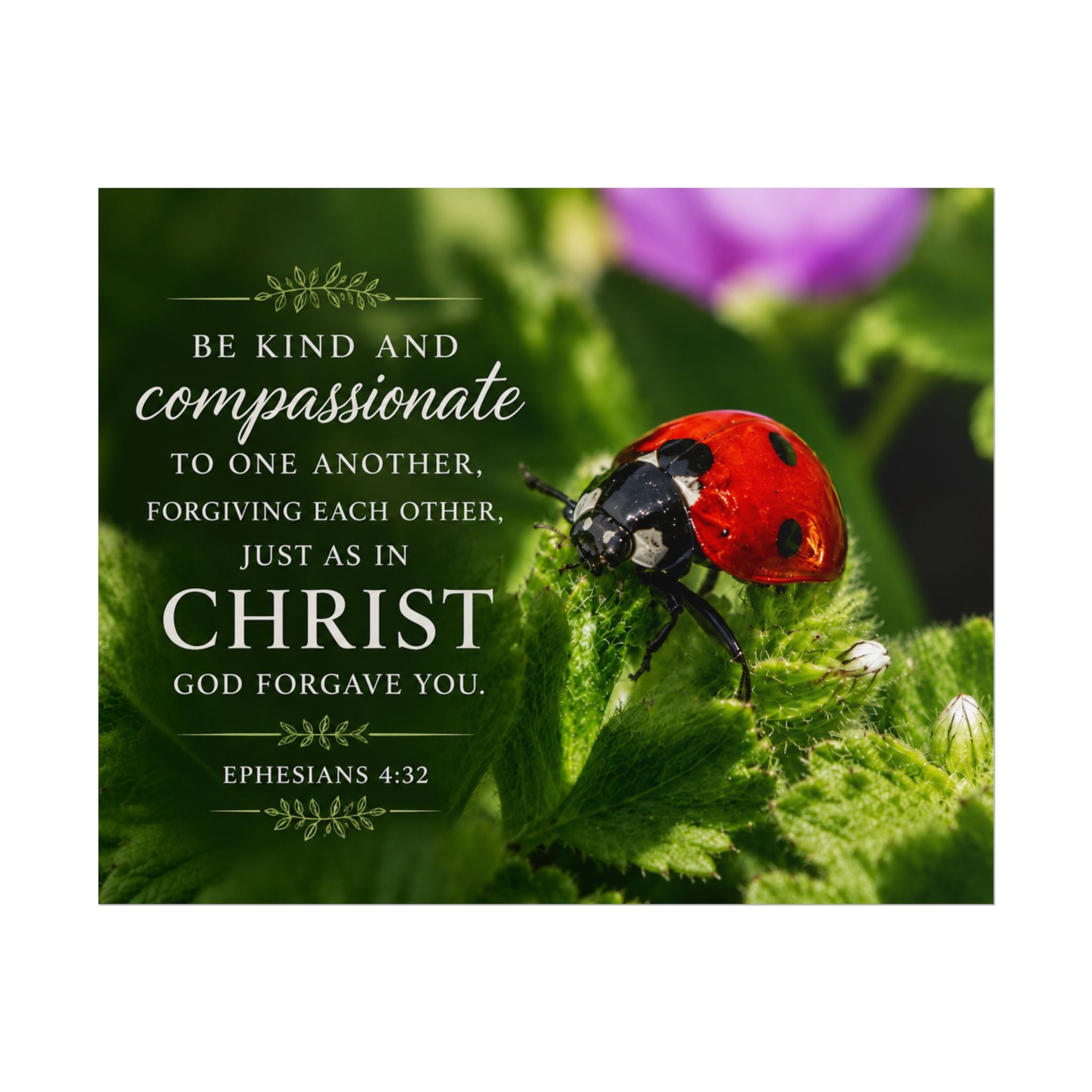 ladybug | Poster