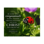 ladybug | Poster
