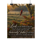 Fed by the Father Cardinal - Poster