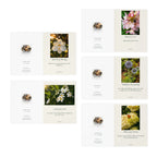 Inspirational Flower Greeting Cards 5-Pack – Sympathy, Love & Encouragement