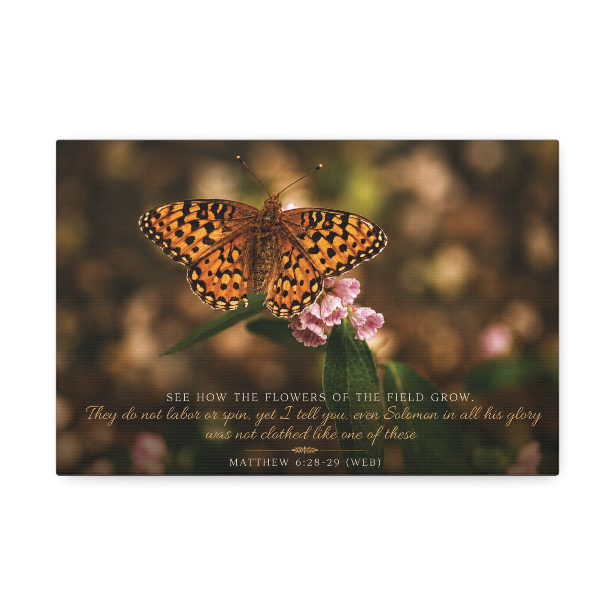 Orange Butterfly | Canvas