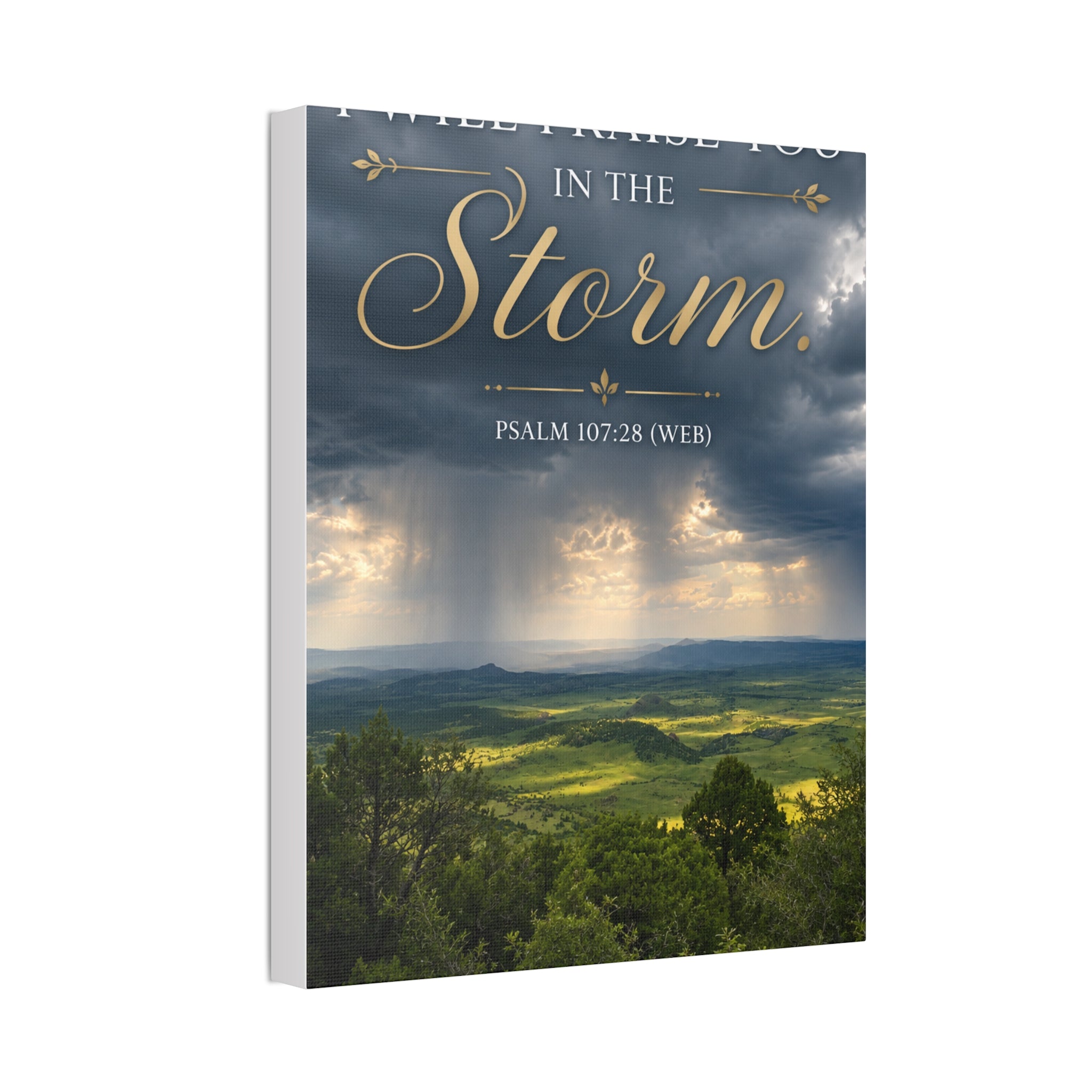 Storm | Canvas