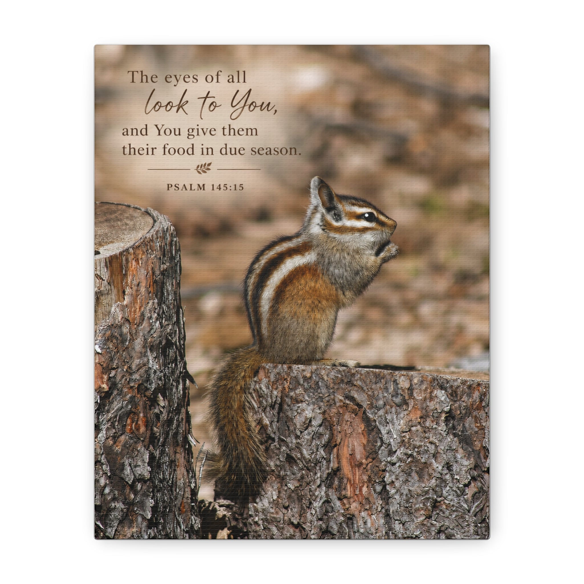 All Things Small | Canvas