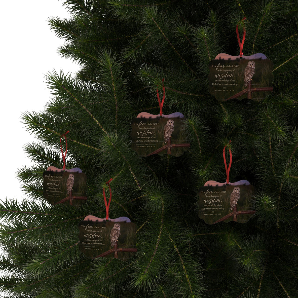 Christian Owl Wisdom Aluminum Ornament — Proverbs 9:10 Inspirational Holiday Decor