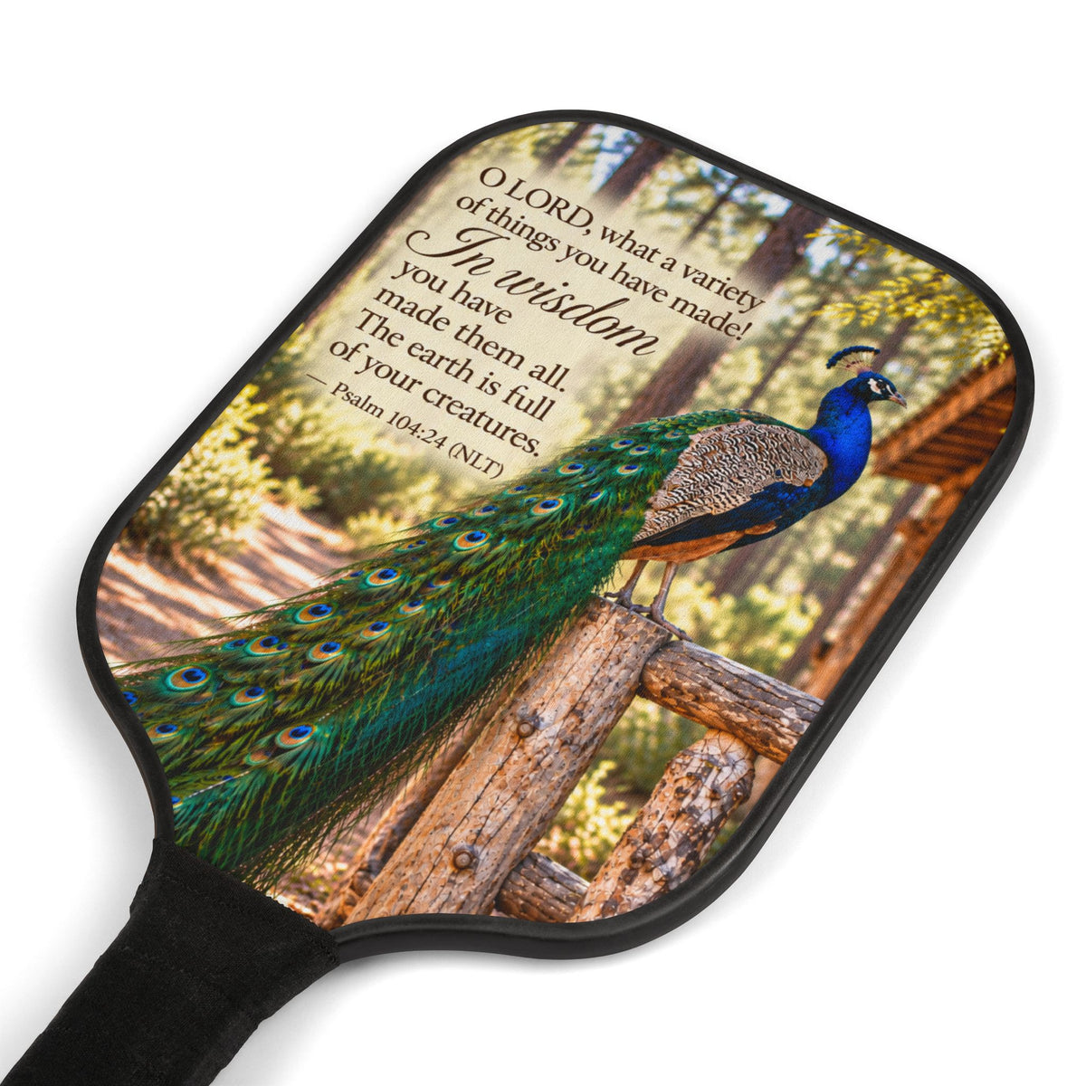 He Made Them All - Pickleball Set