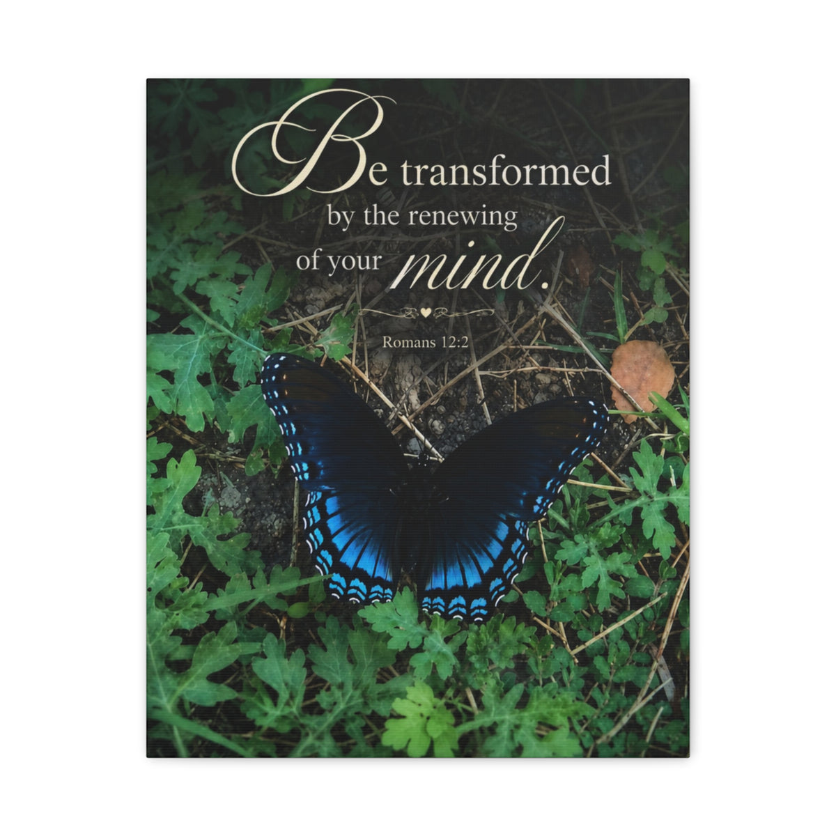 Be Transformed - Canvas