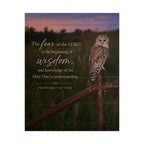 Wise Owl | Poster