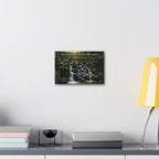 Rainforest Falls | Canvas